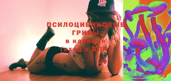хмурый Абаза