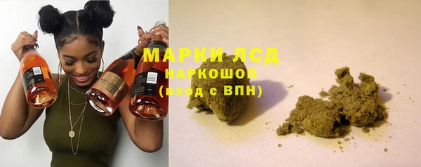 хмурый Абаза