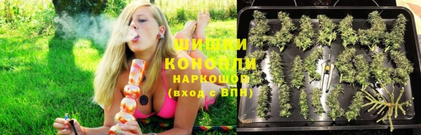 хмурый Абаза