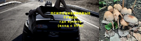 гашик Покров