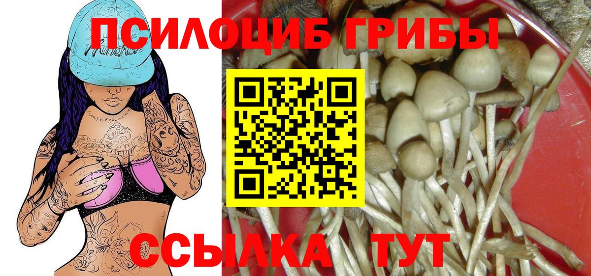 Псилоцибиновые грибы Magic Shrooms  Галлюциногенные грибы GOLDEN TEACHER  Ишимбай  Вход с VPN 