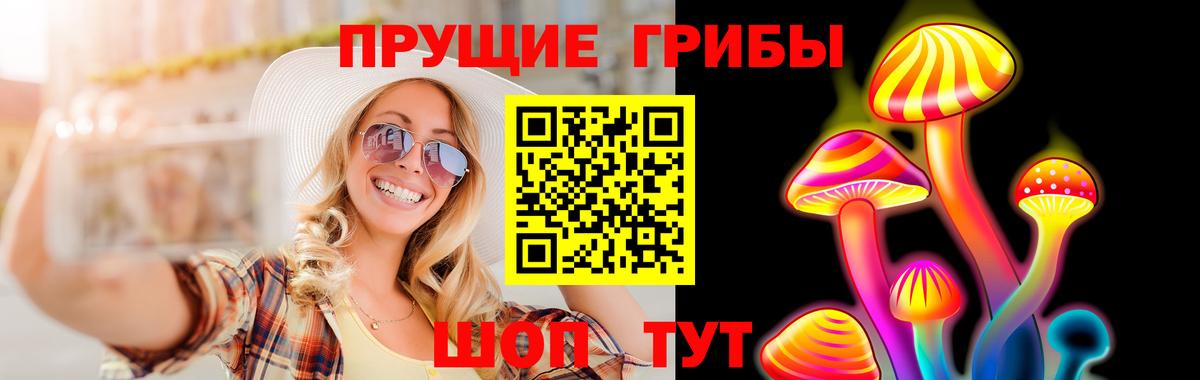 Галлюциногенные грибы Psilocybe Ишимбай